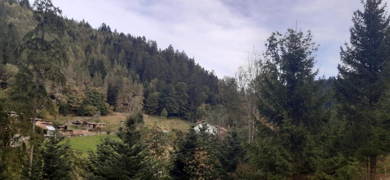 Appartement Le montagnard à Gérardmer Extérieur photo