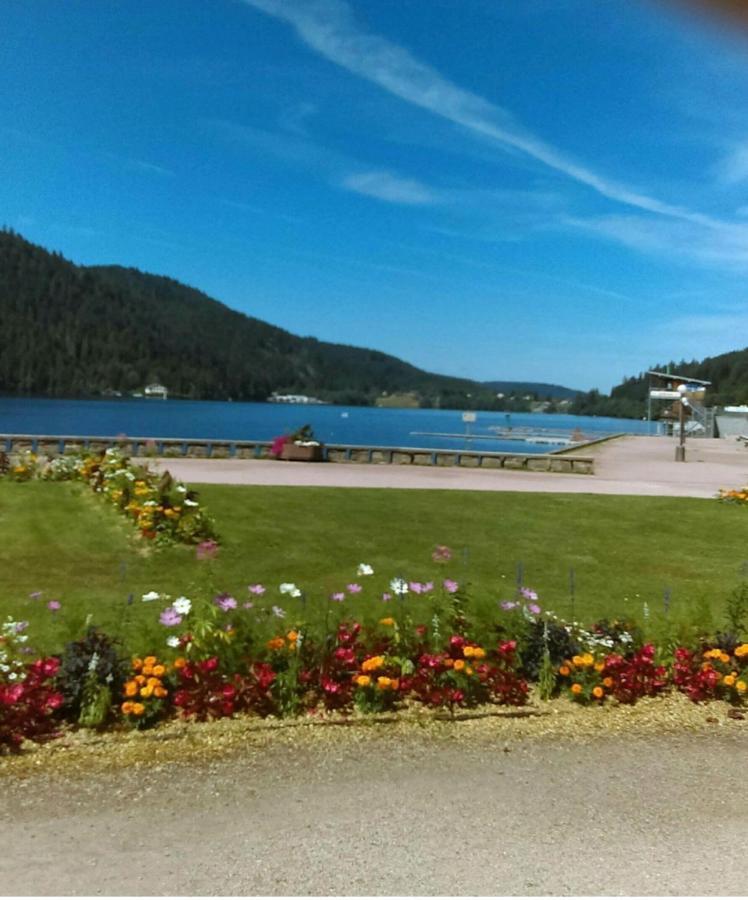 Appartement Le montagnard à Gérardmer Extérieur photo