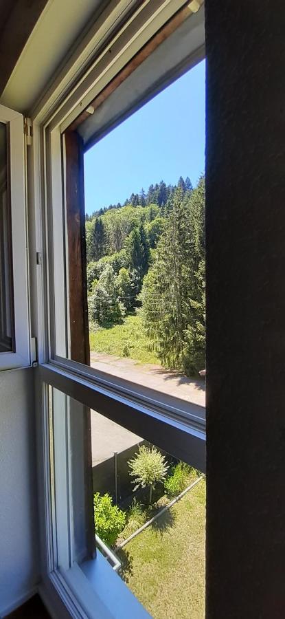Appartement Le montagnard à Gérardmer Extérieur photo
